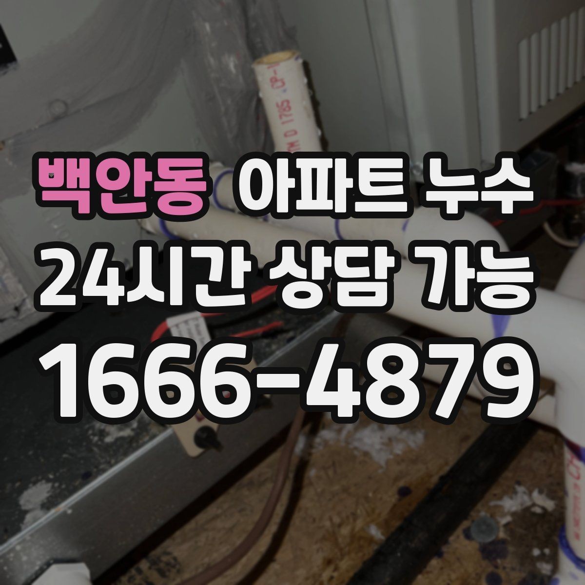 백안동 아파트 누수 벽과 천장 경계가 젖을 때 원인 추정