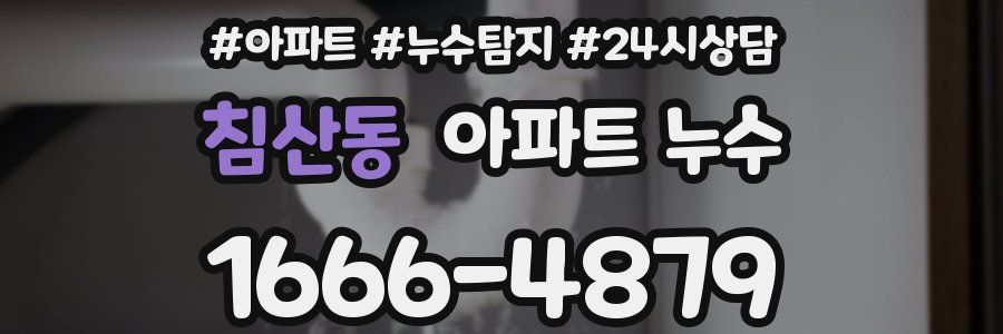 침산동 누수탐지