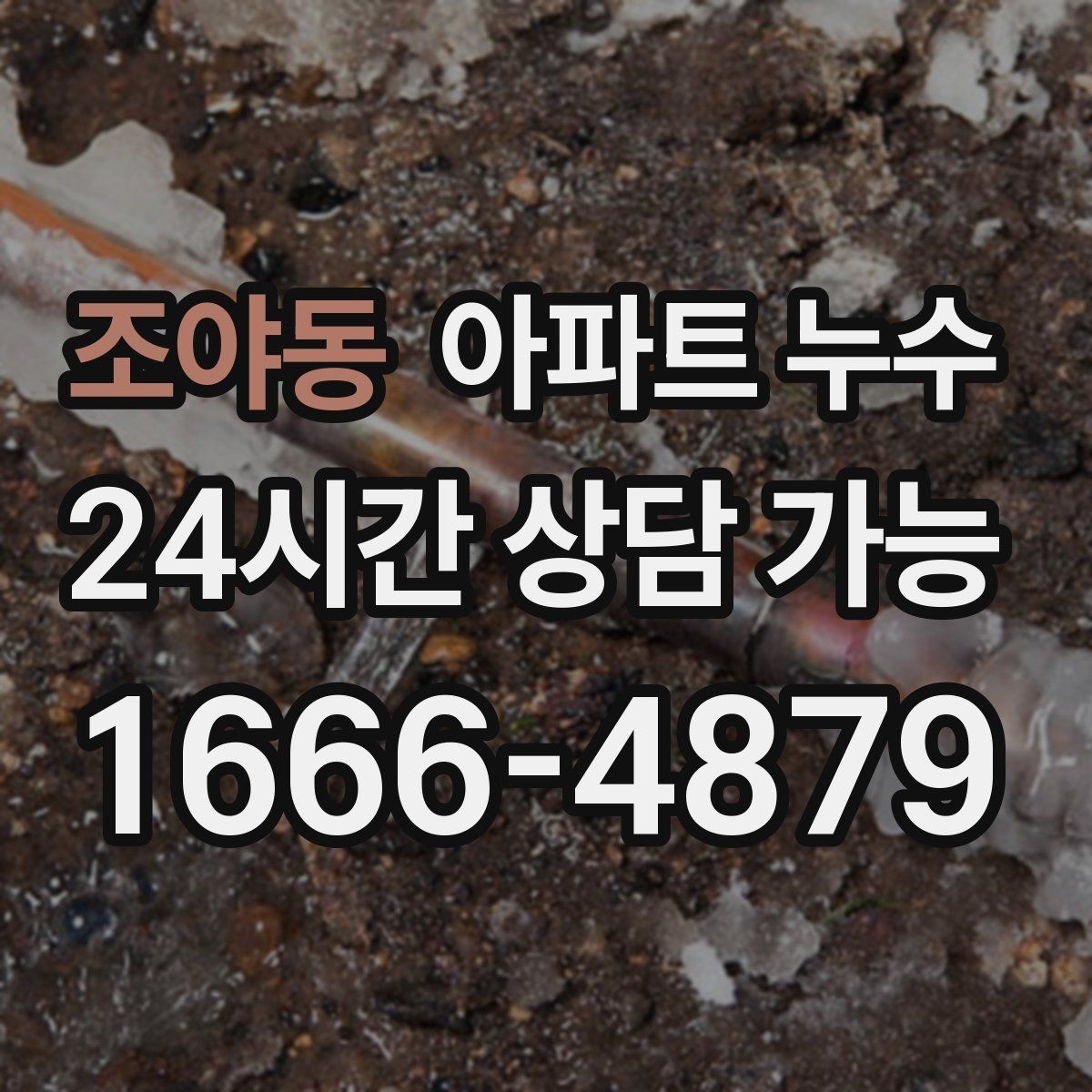 조야동 아파트 누수 벽지 들뜸부터 시작하는 피해 확산