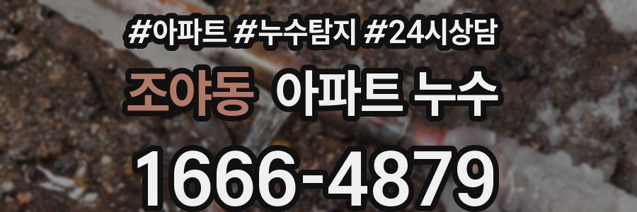 조야동 누수탐지