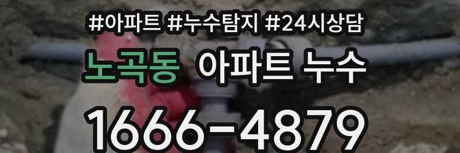 노곡동 누수탐지