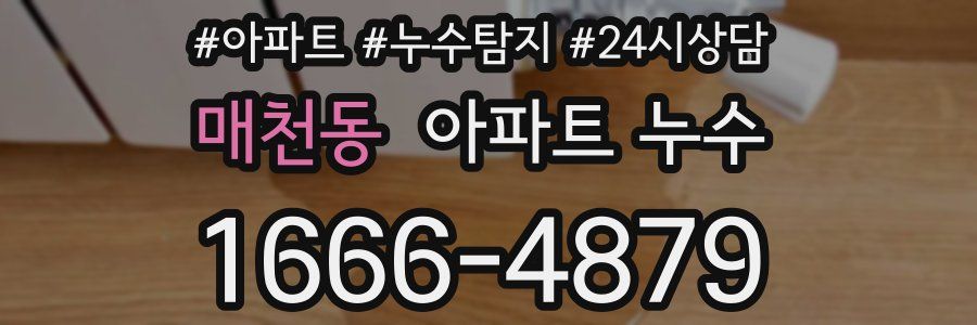 매천동 누수탐지