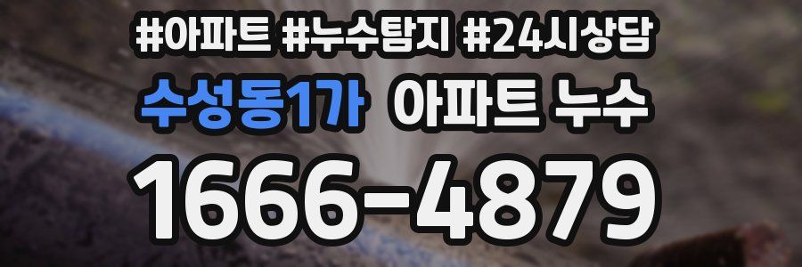 수성동1가 누수탐지