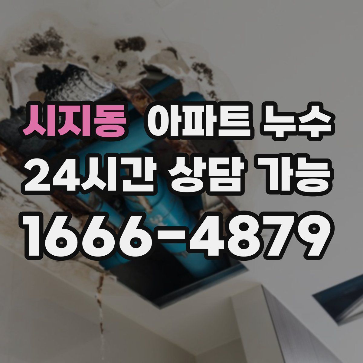 시지동 아파트 누수탐지