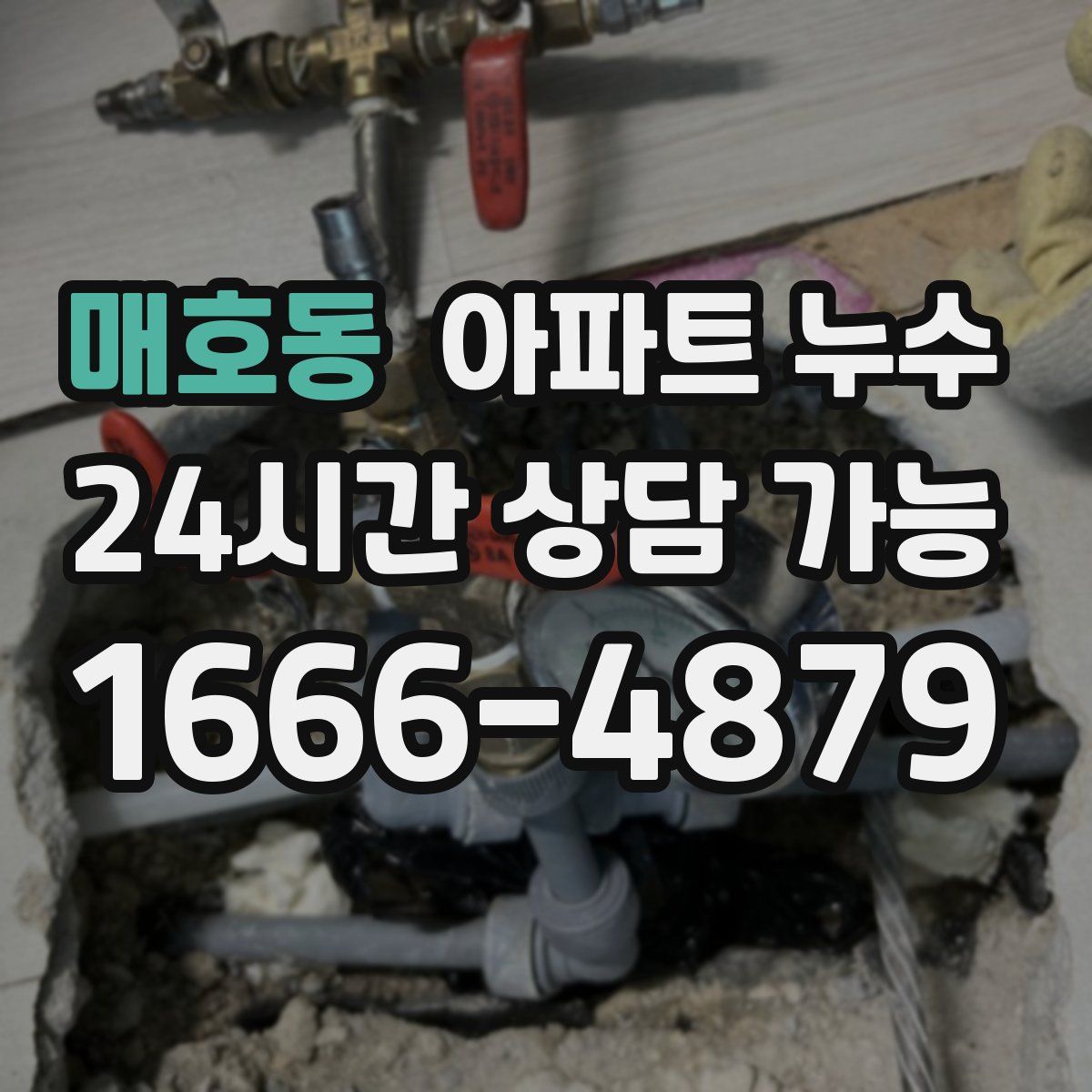 매호동 아파트 누수탐지