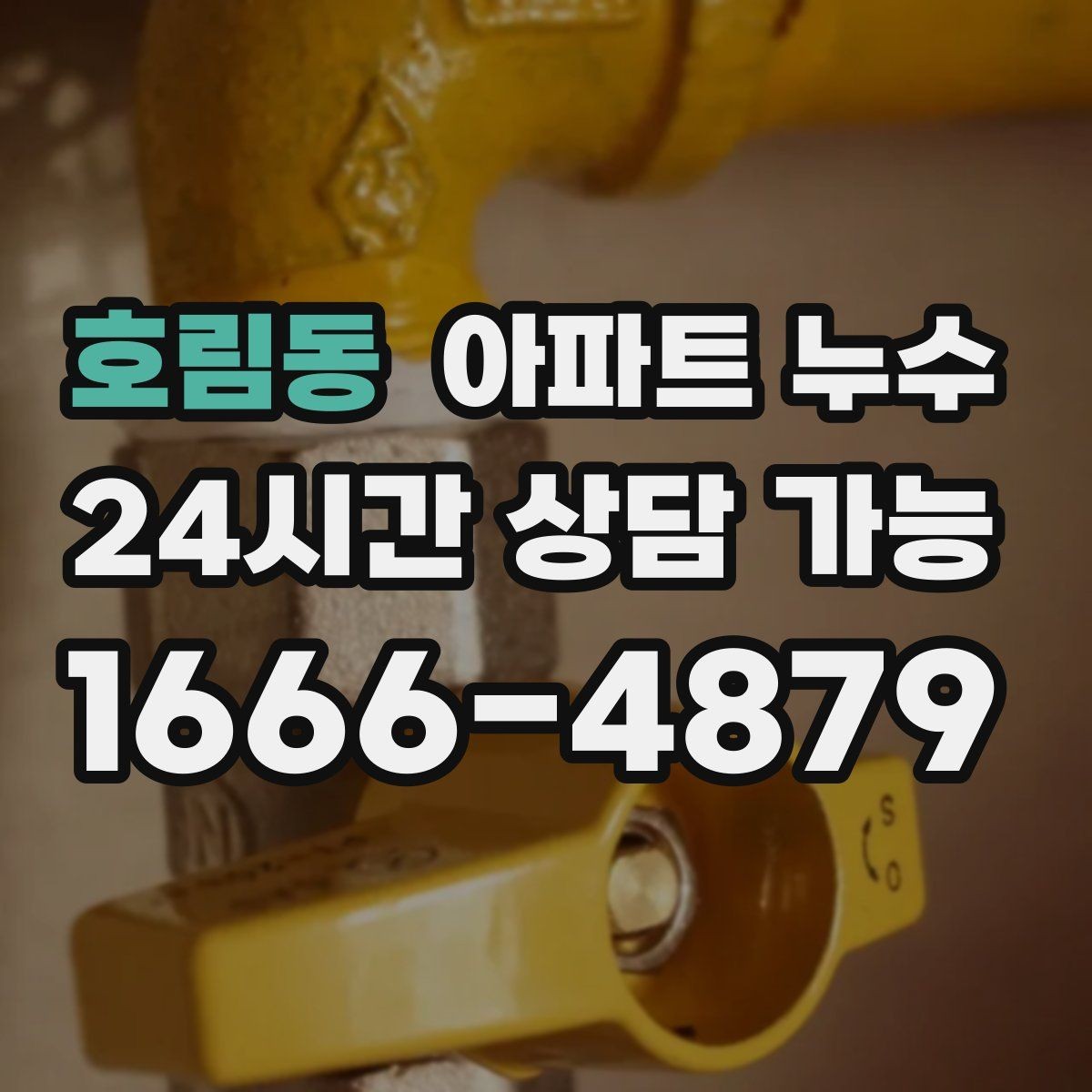 호림동 아파트 누수 원인 파악이 먼저인 이유를 알려드립니다