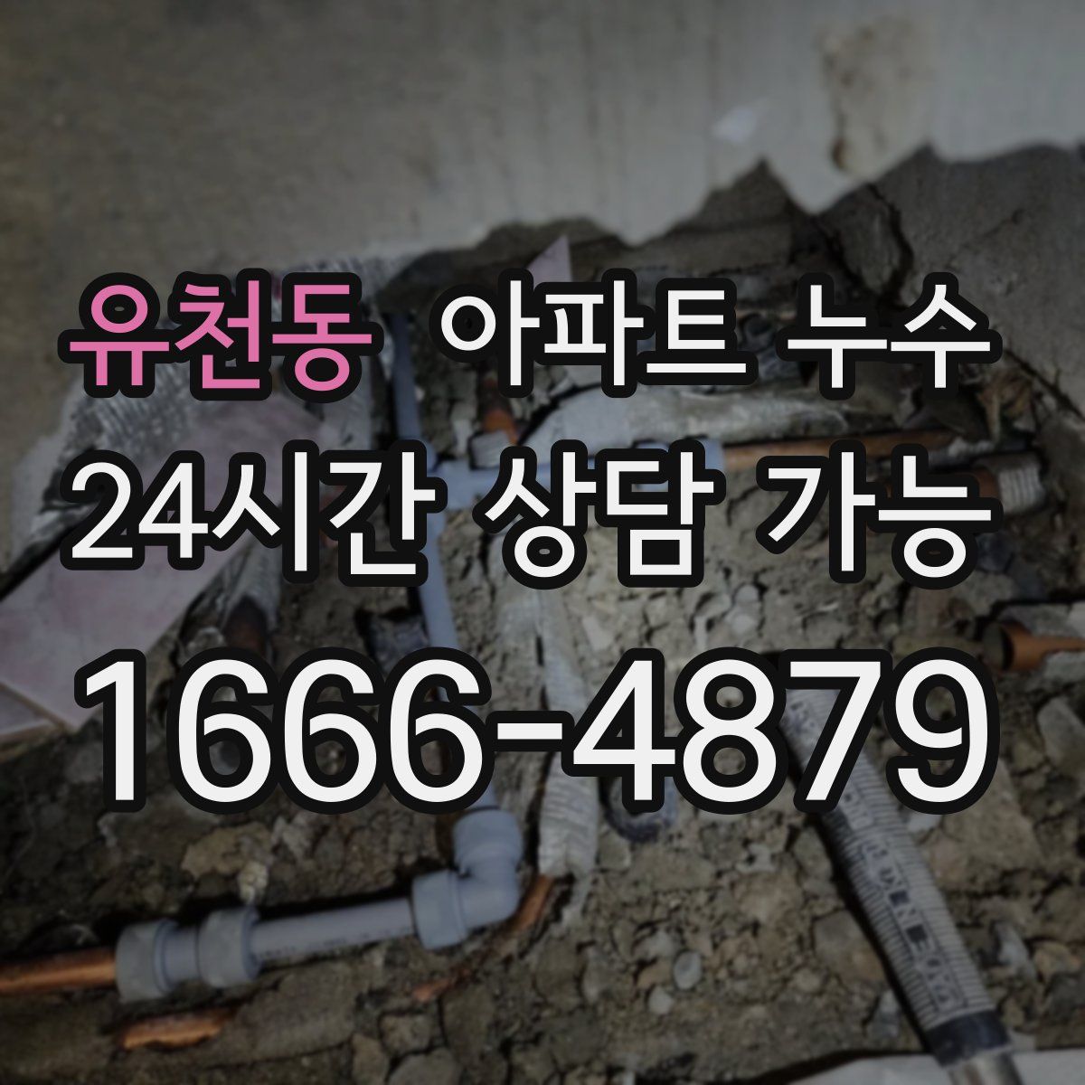 유천동 아파트 누수탐지