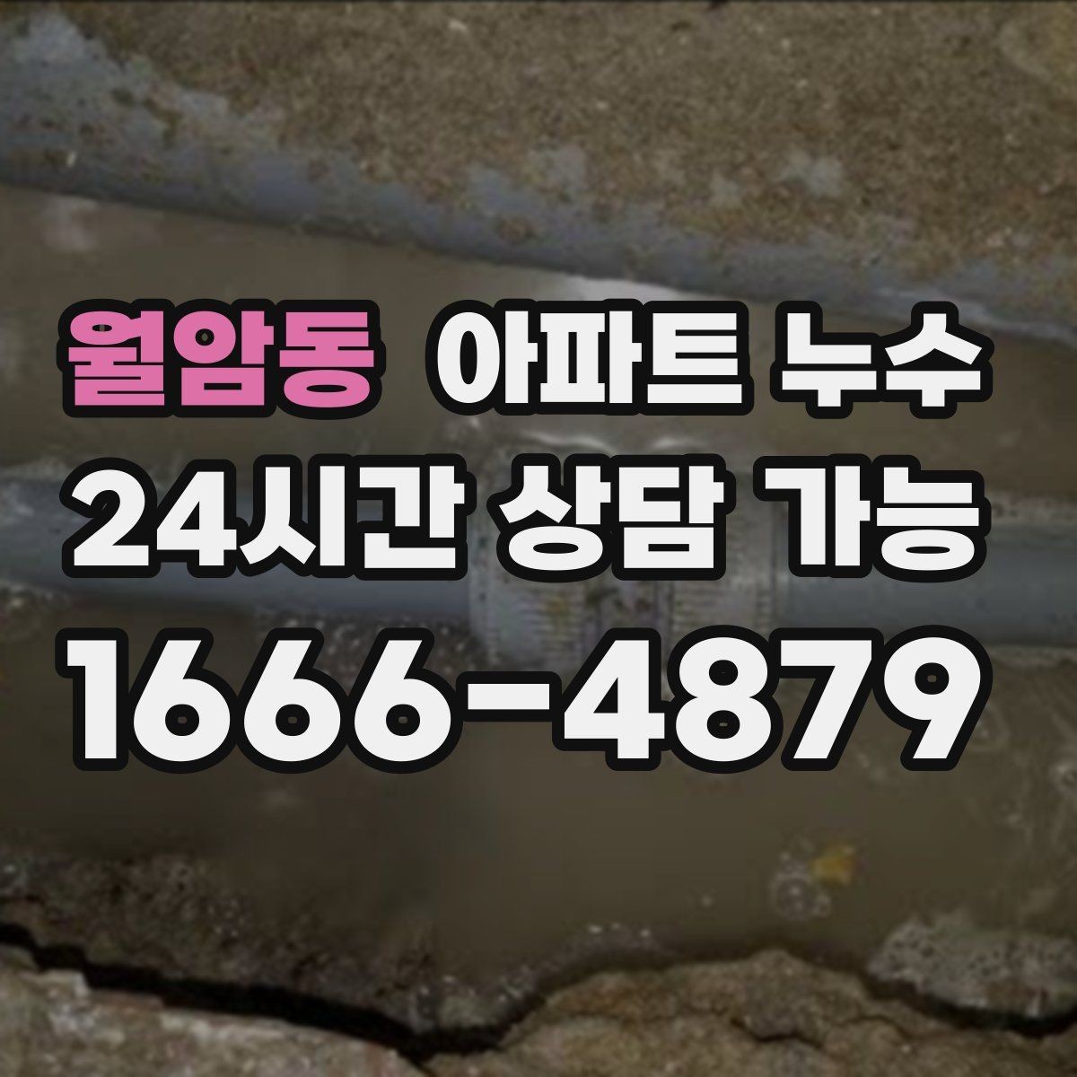 월암동 아파트 누수 곰팡이만 늘고 물자국은 적을 때