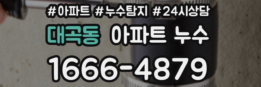 대곡동 누수탐지