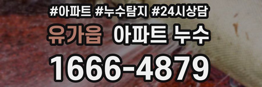 유가읍 누수탐지