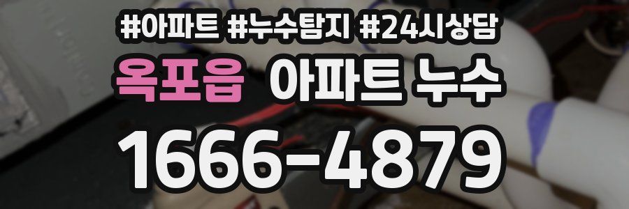 옥포읍 누수탐지