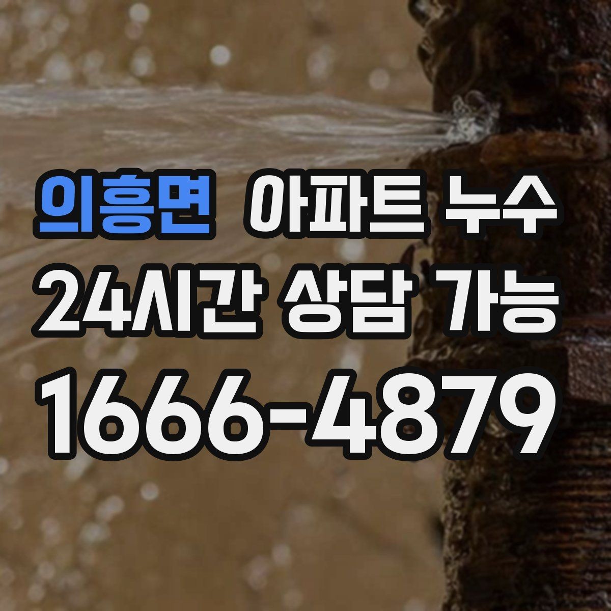 의흥면 아파트 누수 도배지 갈색 라인 방치하면 커지는 이유와 사진 기록