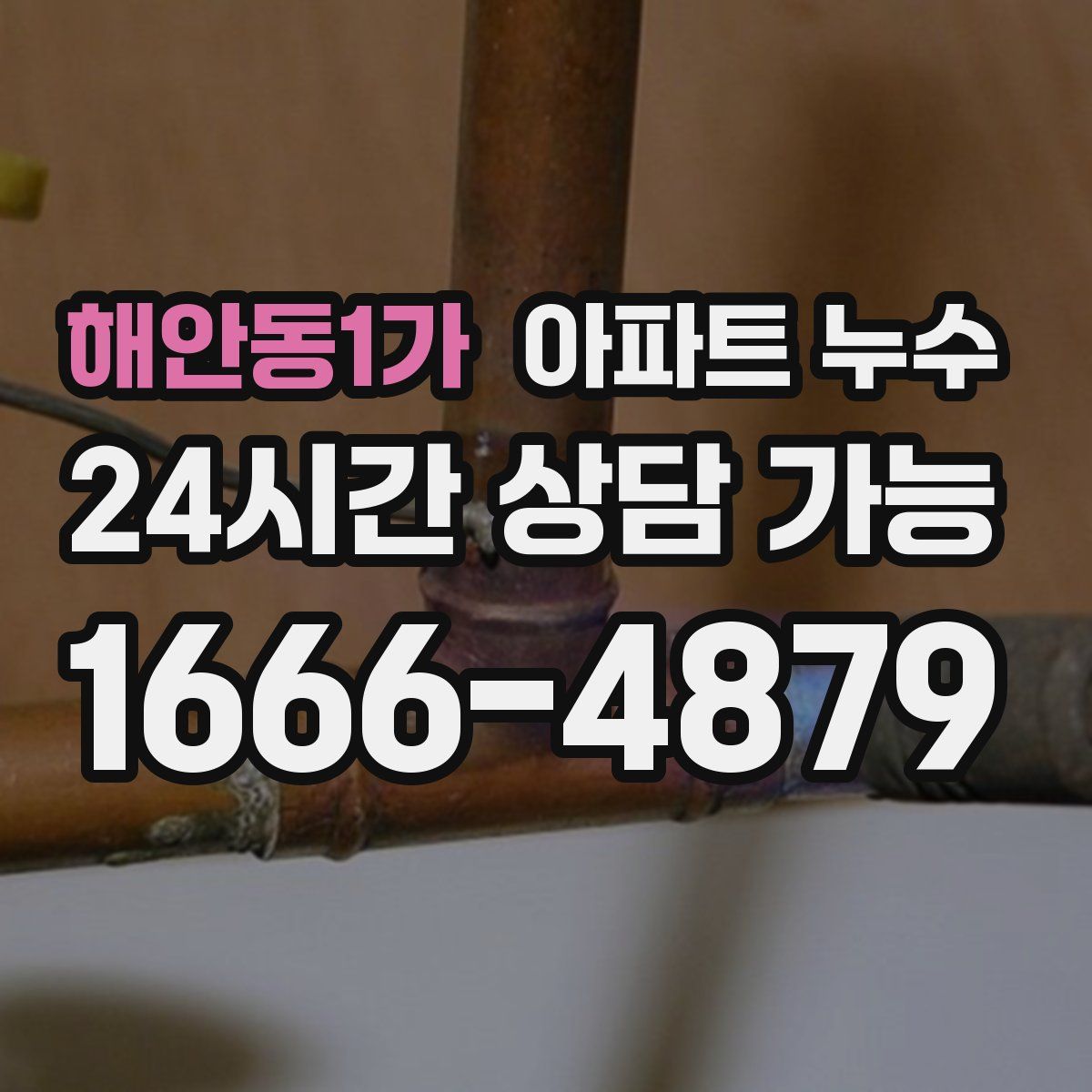 해안동1가 아파트 누수탐지