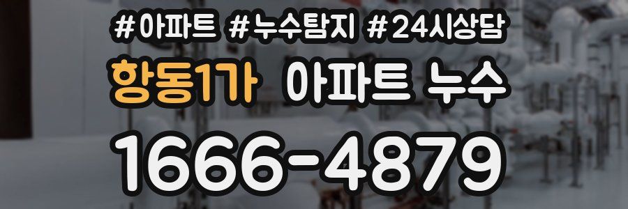 항동1가 누수탐지