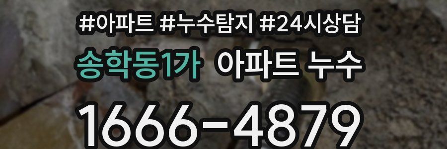 송학동1가 누수탐지