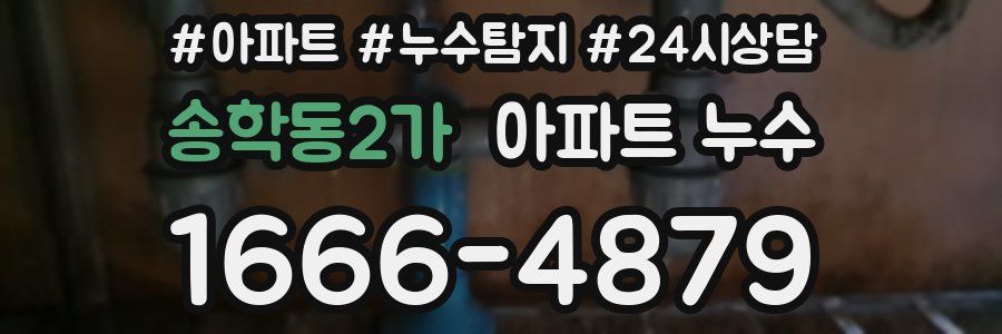 송학동2가 누수탐지