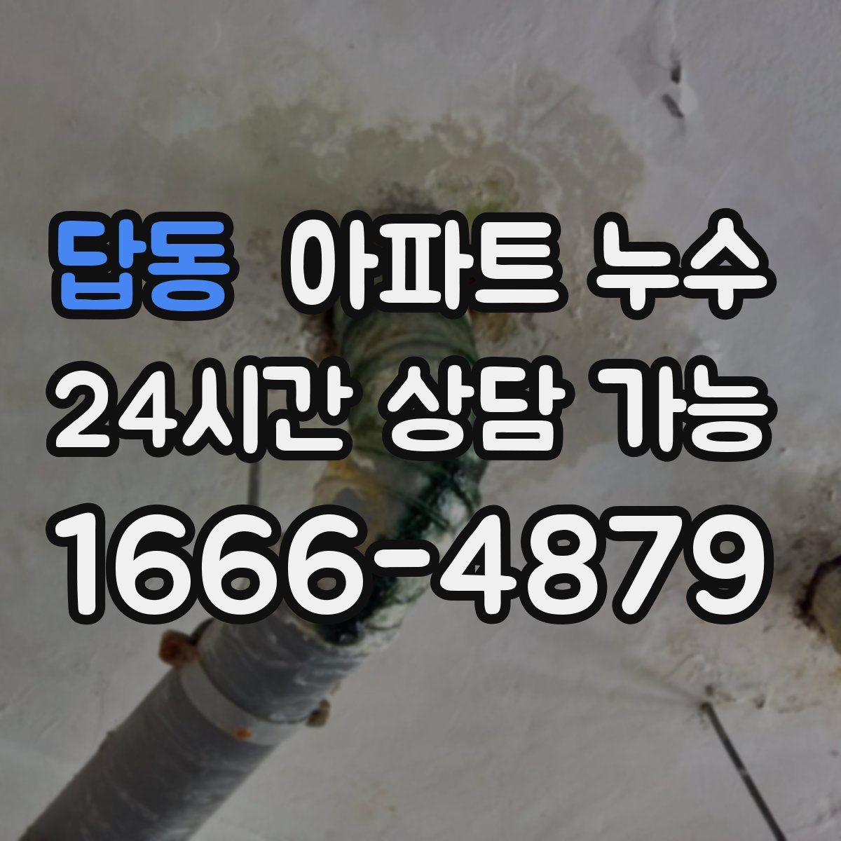 답동 아파트 누수탐지