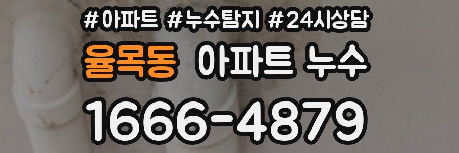 율목동 누수탐지