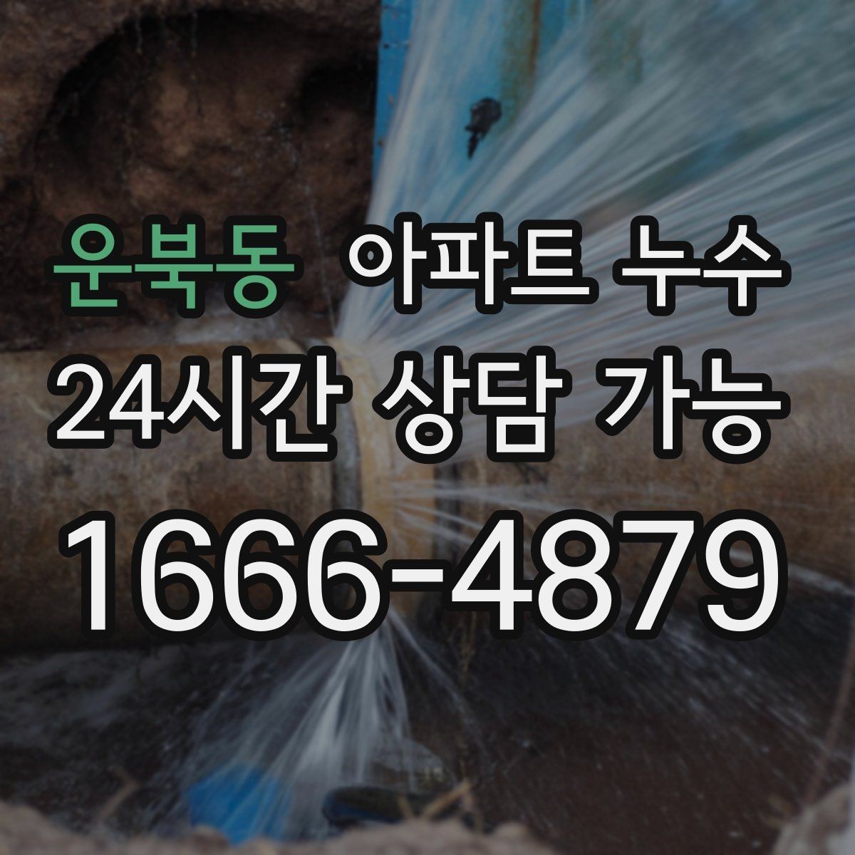 운북동 아파트 누수 방과 거실 경계가 젖는 증상