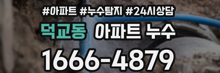 덕교동 누수탐지