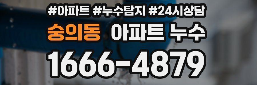 숭의동 누수탐지