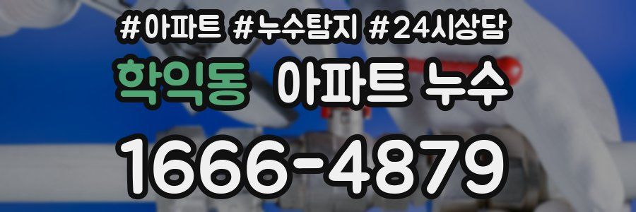 학익동 누수탐지