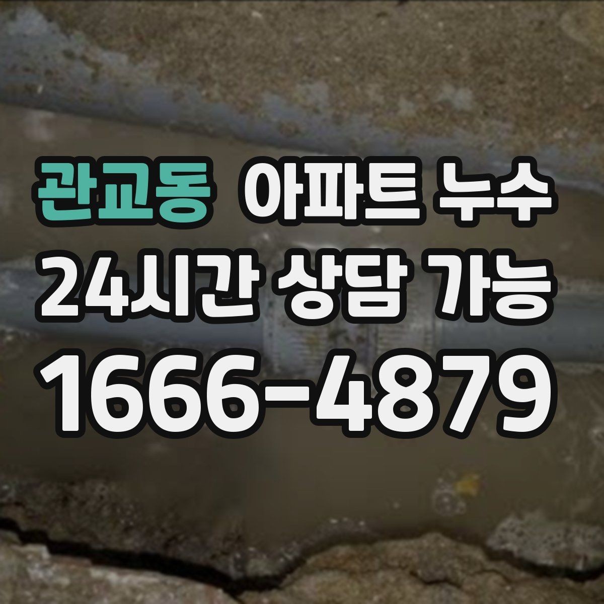 관교동 아파트 누수 물자국이 커지는 속도가 빨라질 때