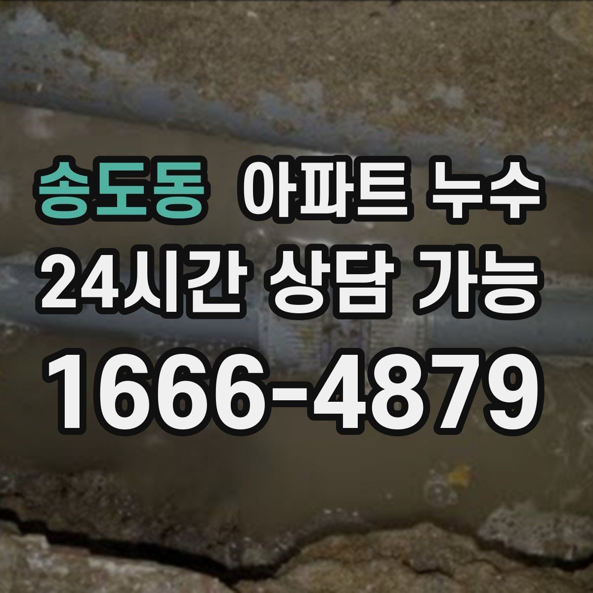 송도동 아파트 누수 마루 들뜸 커지기 전 대응 요령 체크