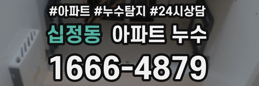 십정동 누수탐지