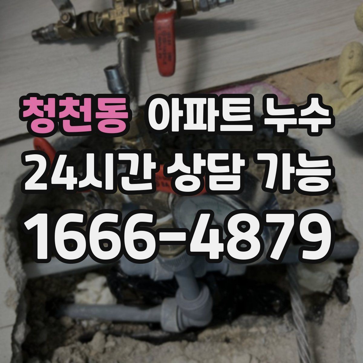청천동 아파트 누수 세탁한 날에만 바닥이 젖는 이유