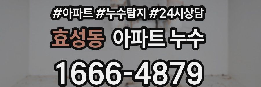 효성동 누수탐지