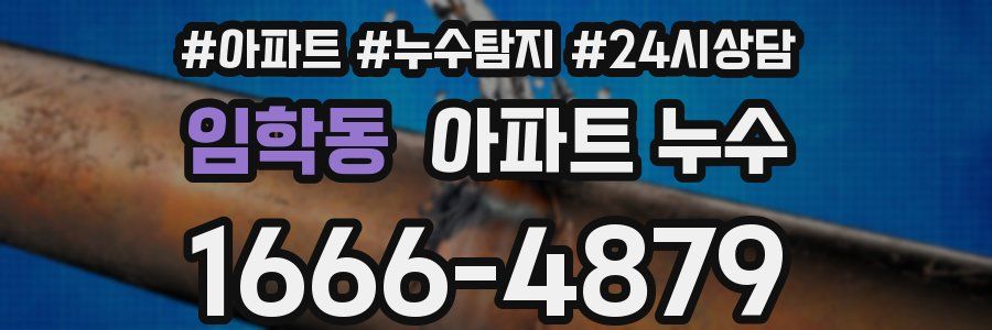 임학동 누수탐지