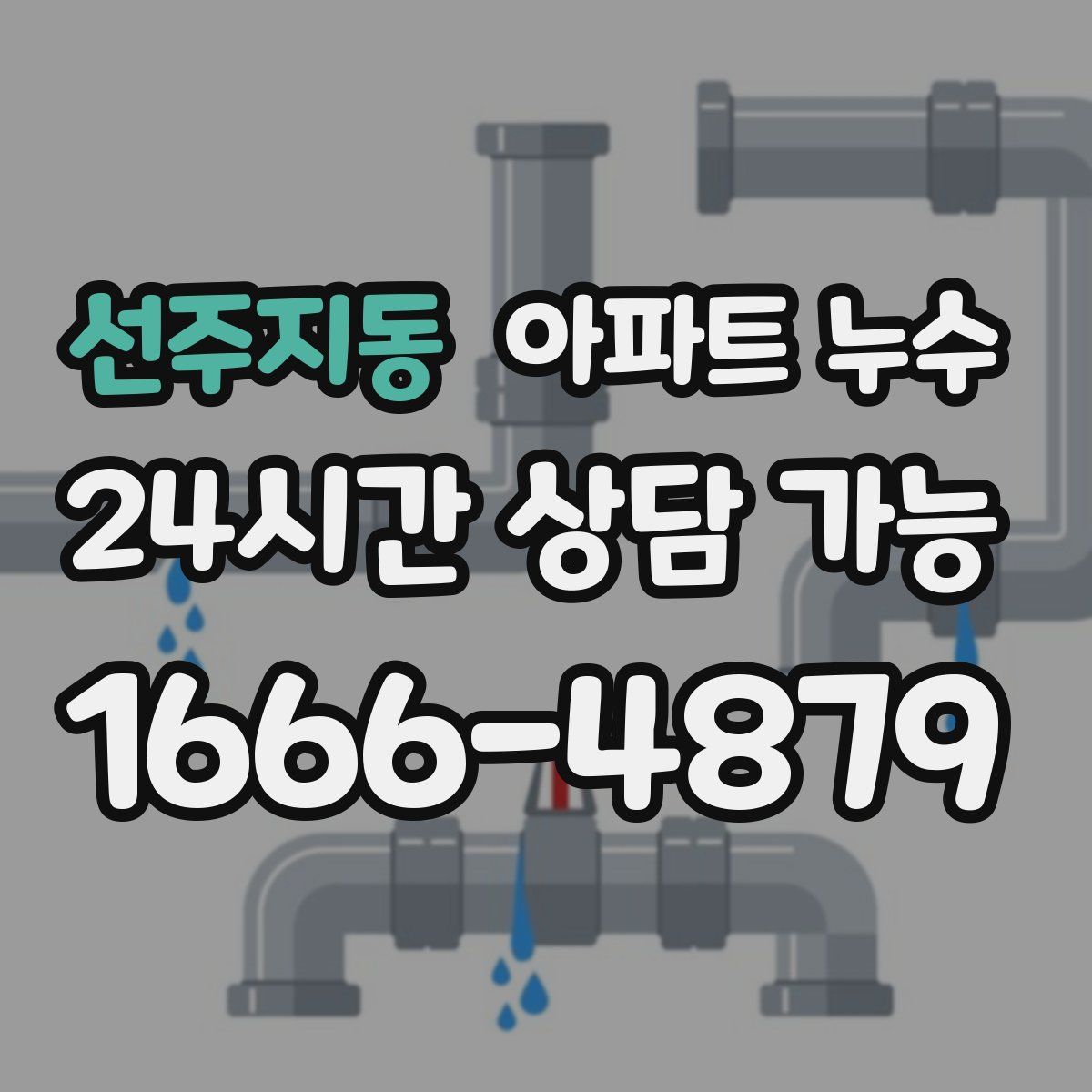 선주지동 아파트 누수탐지