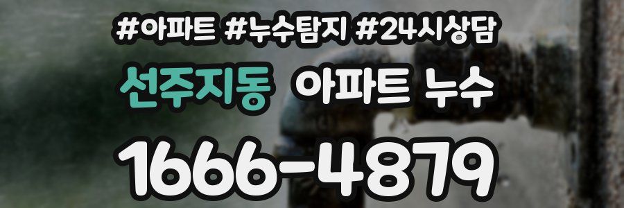 선주지동 누수탐지