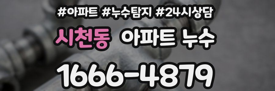 시천동 누수탐지