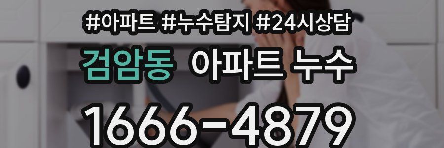 검암동 누수탐지