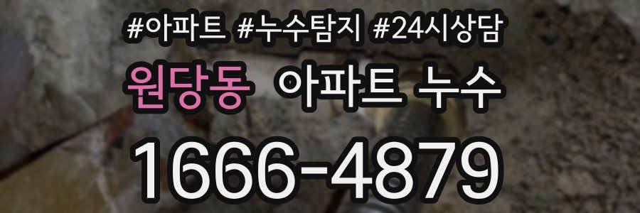 원당동 누수탐지