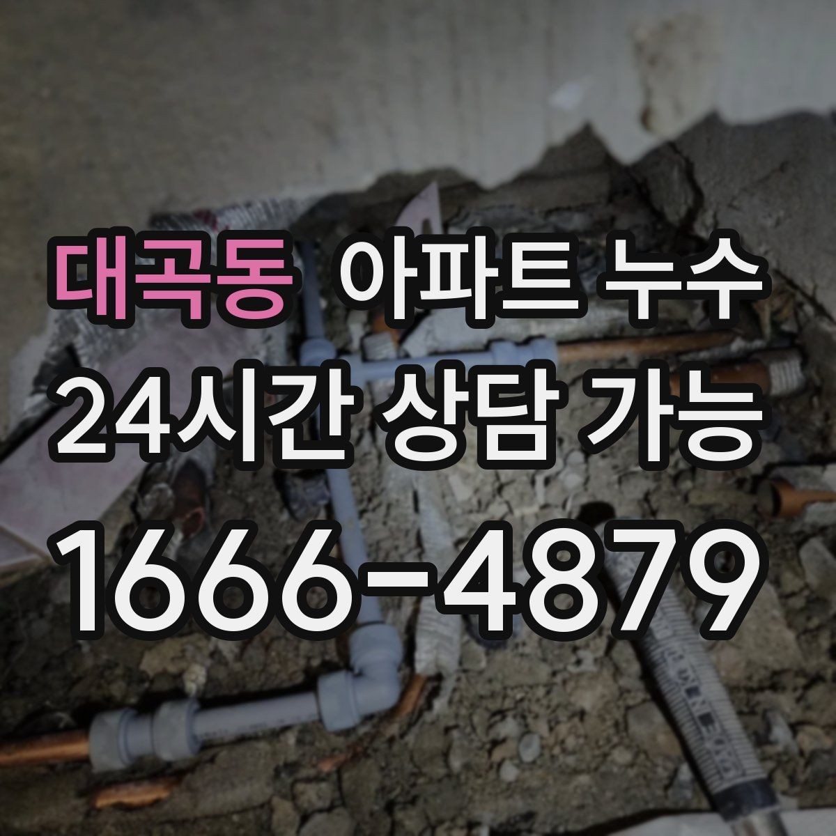 대곡동 아파트 누수 샤워부스 밖까지 물기가 번질 때