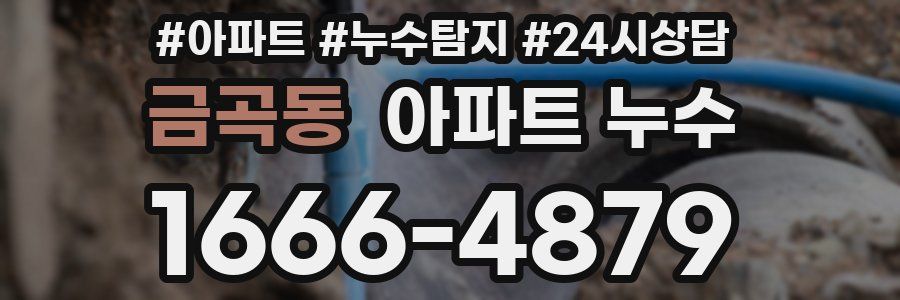 금곡동 누수탐지