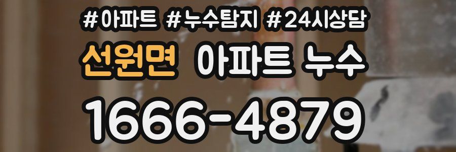 선원면 누수탐지