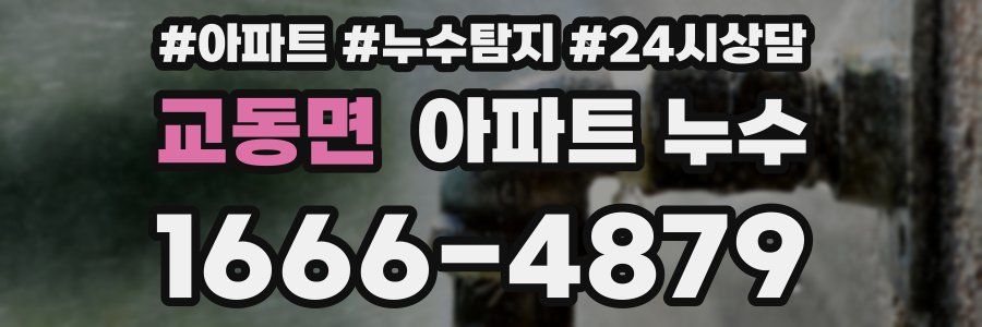 교동면 누수탐지