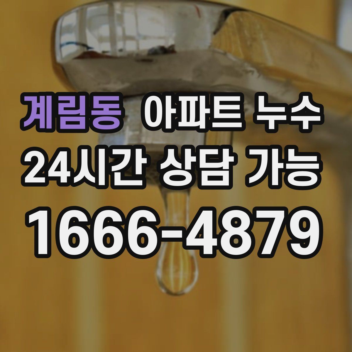 계림동 아파트 누수 벽면 아래쪽이 젖는 경우의 점검 순서