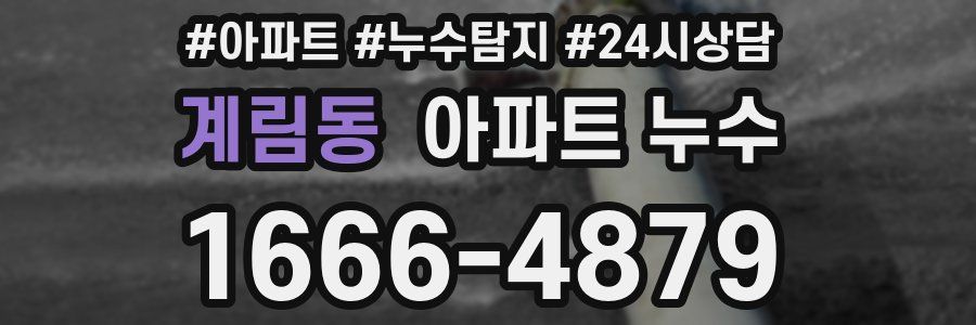 계림동 누수탐지