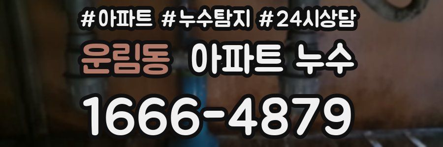 운림동 누수탐지