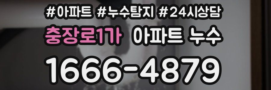 충장로1가 누수탐지