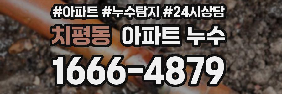 치평동 누수탐지