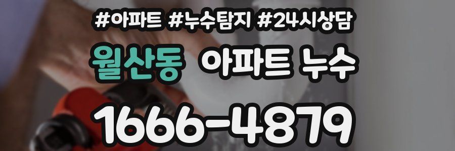 월산동 누수탐지