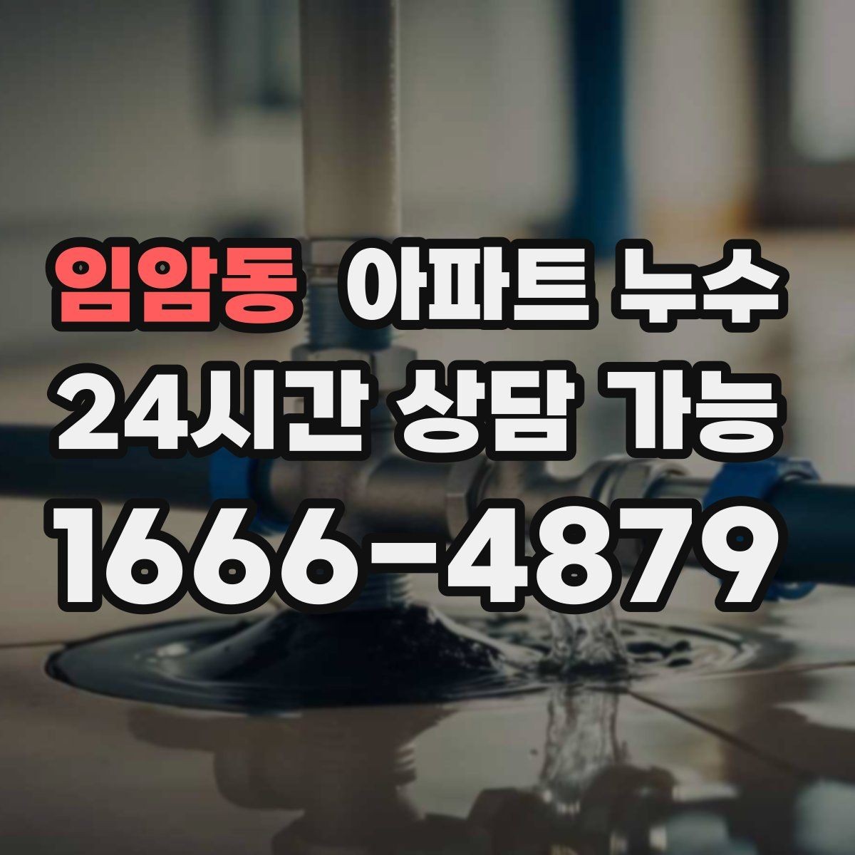 임암동 아파트 누수 물자국 색으로 보는 진행 단계
