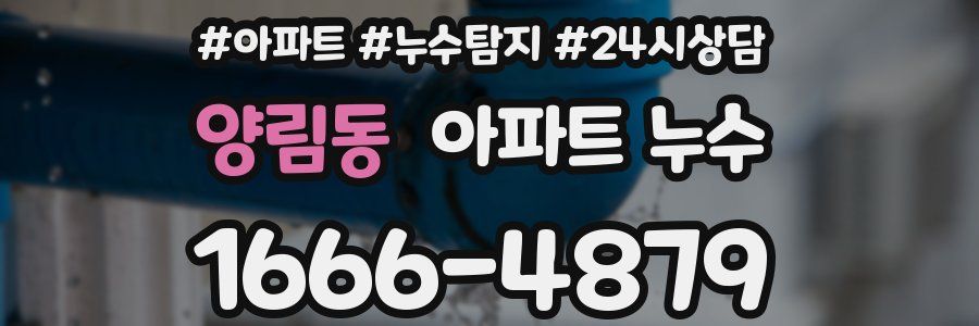 양림동 누수탐지