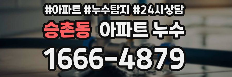 승촌동 누수탐지